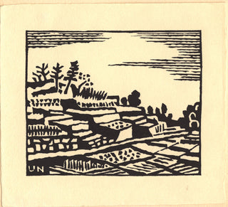 Terrasvelden van Izu