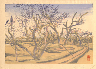 Pruimenboomgaard