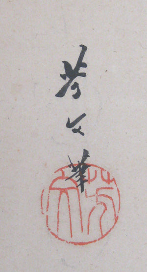 Petit insecte et arrow-root