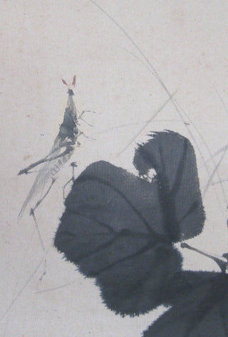 Petit insecte et arrow-root
