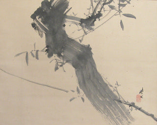 Willow and cicada