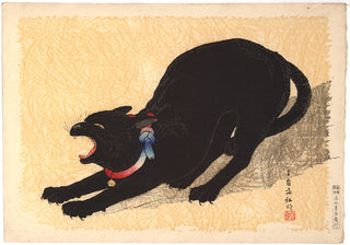 Cat With bell