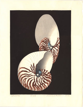Nautilusgehäuse