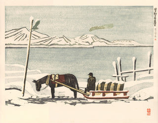 Paard in de sneeuw