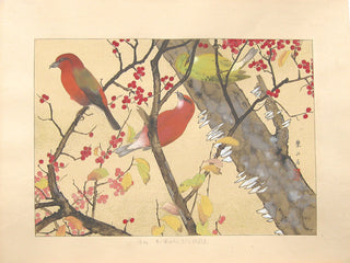 Winterberry and Red Crossbills (Early WInter)