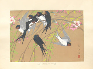 Weeping Willow and a Flock of Barn Swallows (Mid Spring)