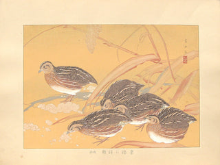 Millet Seedheads and Flock of Quail (Late Autumn)