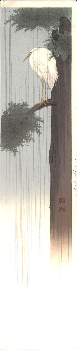 Heron In a tree