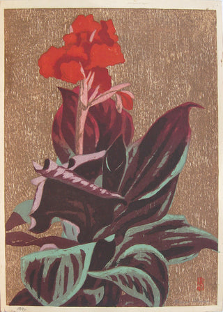 Caña