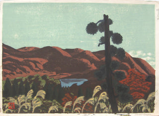 Shigi Marsh
