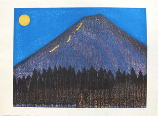 Der Berg Fuji in einer mondhellen Nacht