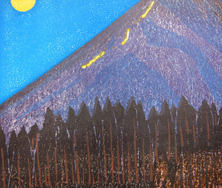 Der Berg Fuji in einer mondhellen Nacht