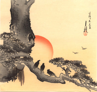 Crows sitting on an old pine-tree