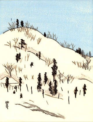 Paisaje nevado