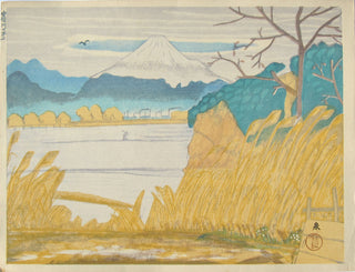 Le mont Fuji vu du rivage