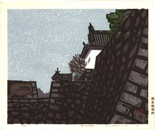 Castillo: Castillo de Nagoya