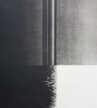 Œuvre n° 4