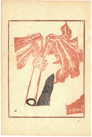 Amaryllis Nihon