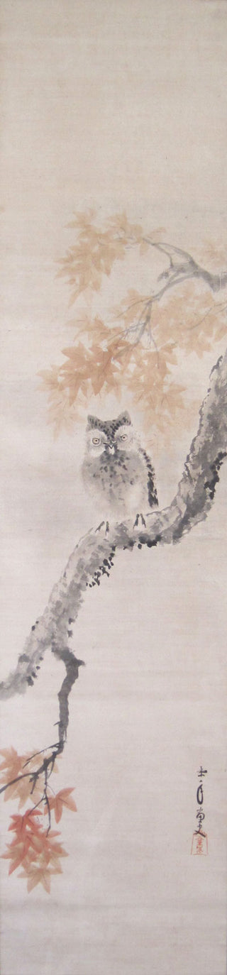 Owl