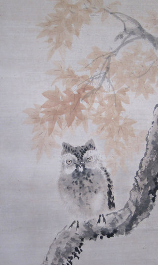 Owl