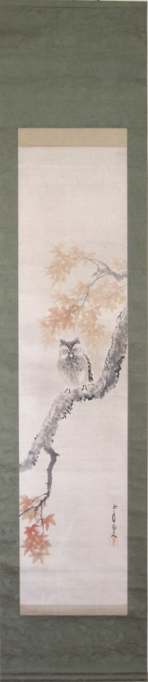 Owl