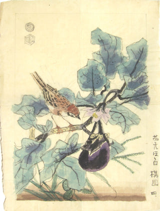 Vogel und Aubergine