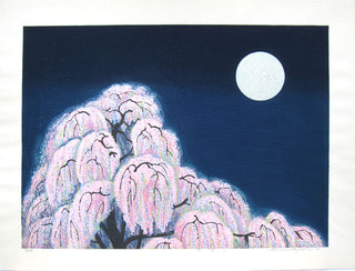Full moon and weeping cherry tree in Maruyama park