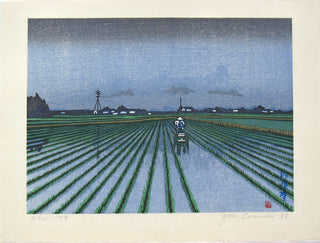 Planting rice