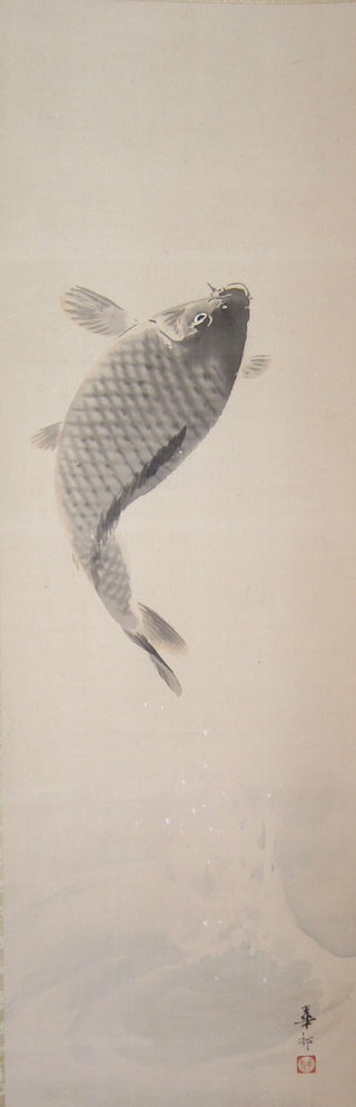 Jumping carp