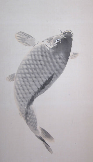 Jumping carp