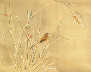Schnee und kleiner Vogel