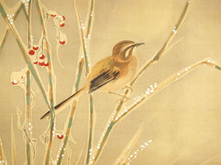 Schnee und kleiner Vogel