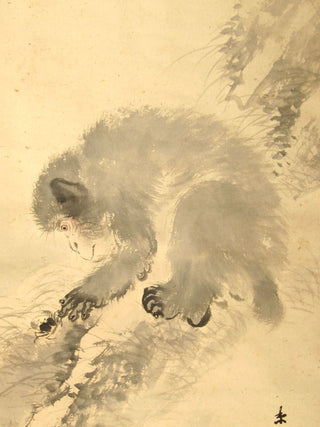 Monkey playing on the mountain