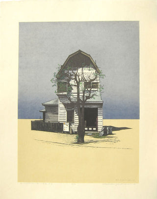 White Two storey house