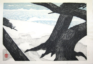 Pine tree on the shore
