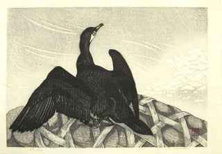 Cormorant