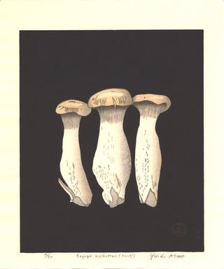 Eryngii mushrooms