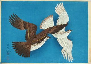 Two Hawks