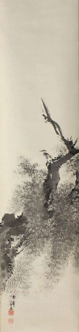A grey heron in an old willow tree