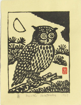 Owl