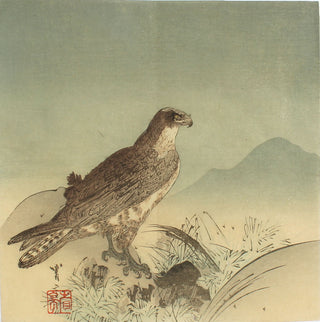 Eagle