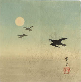 Crows and the full moon