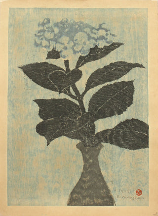Hortensia