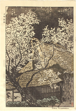 Parque de ciruelos de Yoshino
