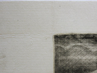 Substedelijk landschap