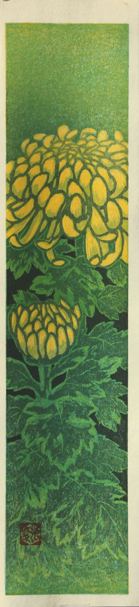 Chrysantemum