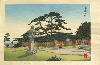 Sosna w Karasaki