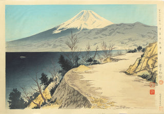 Mt.Fuji and beach of Izu