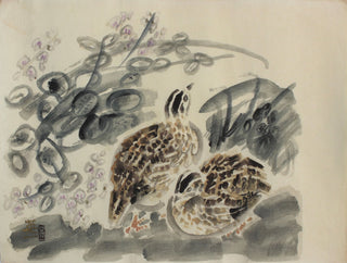 Quails