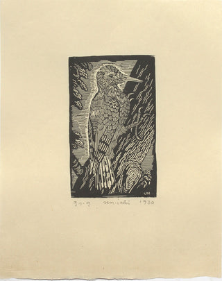 Pájaro carpintero